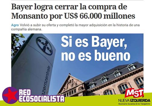 bayer